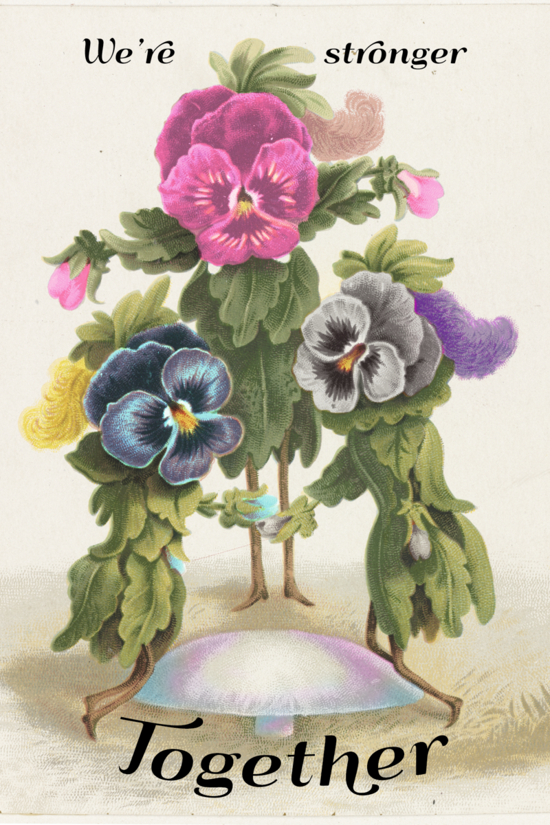 Trans Day of Visibility - LGBTQ Center OC